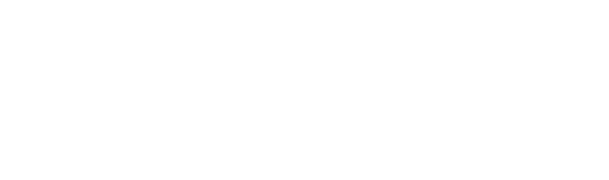 Suomen Natiivimainonta logo